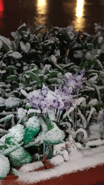 乌鲁木齐发布暴雪橙色预警! 乌鲁木齐发布暴雪橙色预警!