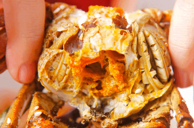 “沪牌大军”集体出动！“往返8.5小时，吃饭1小时”！这里堵车堵到猪肝红……