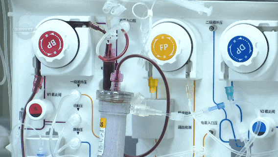 夫妻俩食用后双双中毒,被紧急送医! 夫妻俩食用后双双中毒,被紧急送医!