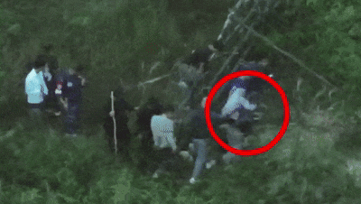 这场山地搜救,1岁、2岁和4岁的它们立下大功! 这场山地搜救,1岁、2岁和4岁的它们立下大功!