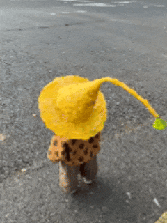 “银杏伞”突然爆火!网友:不建议推广,因为我没有…… “银杏伞”突然爆火!网友:不建议推广,因为我没有……