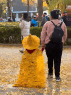 “银杏伞”突然爆火!网友:不建议推广,因为我没有…… “银杏伞”突然爆火!网友:不建议推广,因为我没有……