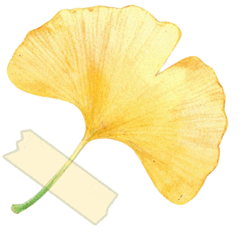 静音舱上新！郑州大学实力宠学生