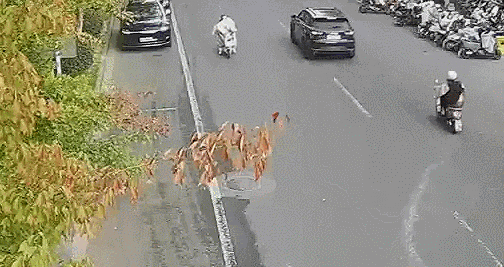 至少3个隐患，这样的电动自行车“挡风被”不建议用——