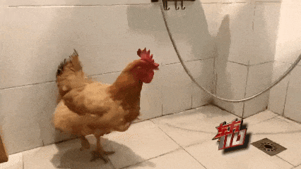 20年前上海一荒地惊现无名男尸，穿着内衣裹着毛毯！背后竟是心狠手辣的“洗头妹”