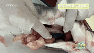 女子为“下火”一口生吞差点没命!医生:剧毒!没有解药!这东西很常见 女子为“下火”一口生吞差点没命!医生:剧毒!没有解药!这东西很常见