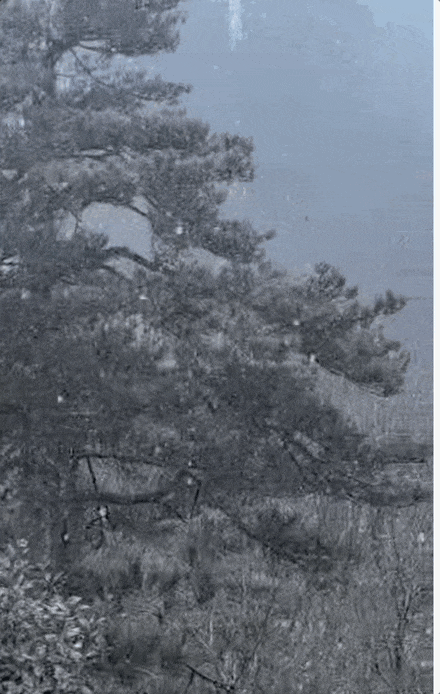 哇,下雪啦!杭州明后天气温“触底”,出门裹严实些 哇,下雪啦!杭州明后天气温“触底”,出门裹严实些