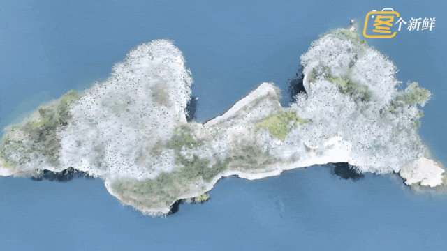 震撼！杭州千岛湖惊现一座“黑色小岛”