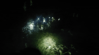 冷得蜷缩一团!5个成年人带6个孩子,咋都走不出深山 冷得蜷缩一团!5个成年人带6个孩子,咋都走不出深山