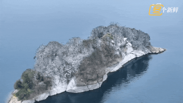 震撼！杭州千岛湖惊现一座“黑色小岛”