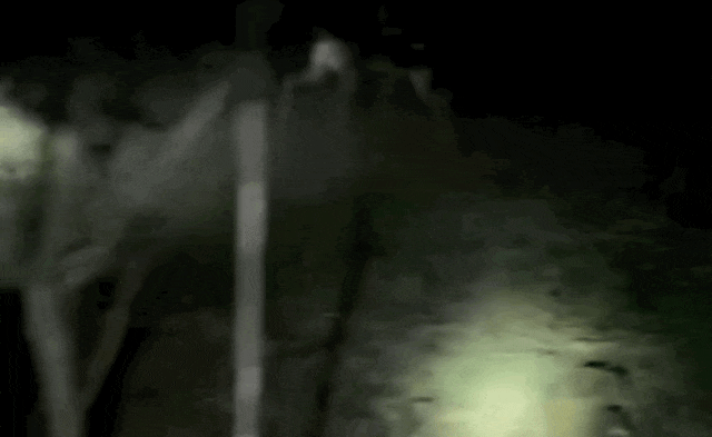 惊魂6天5夜！遇险女子成功获救