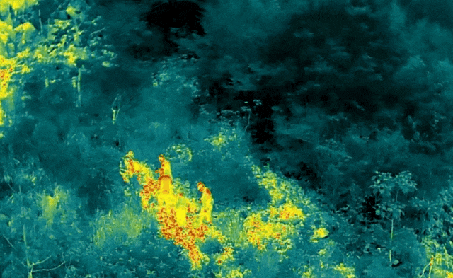 惊魂6天5夜！遇险女子成功获救