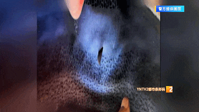 小心！昆明这条下穿隧道惊现“刀片阵”！多辆电动车连环爆胎！