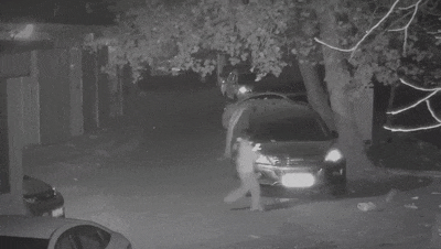 扫码=倾家荡产！警方当街解剖小黄卡：所有二维码都是刀