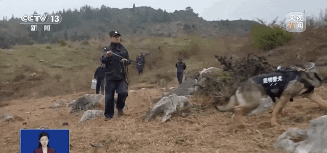 “全能型警犬”怎么才能持证上岗？
