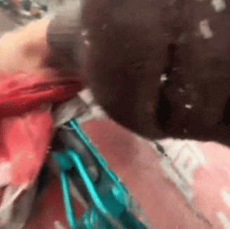 单手扶起侧翻三轮车，她还有一个身份！