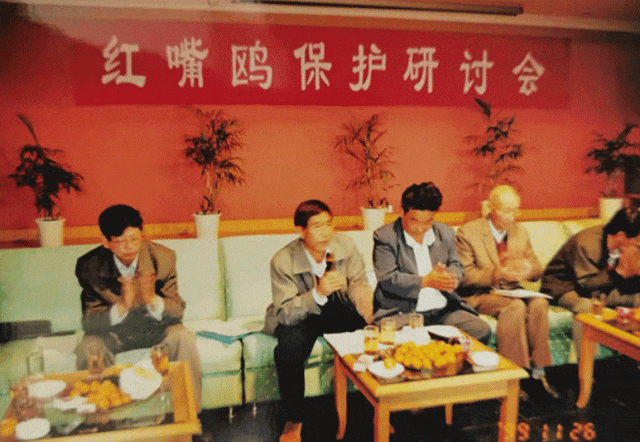 来昆明红嘴鸥超42000只 咋数出来的？