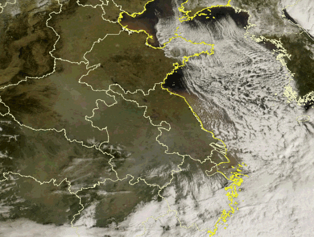 上海明天近期最冷！入冬和2026哪个先来？