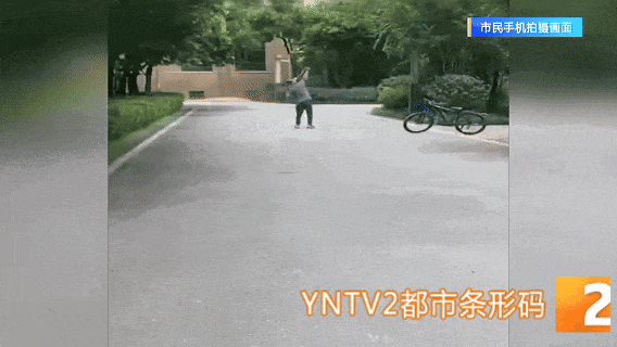 危险！老人弹弓打鸟喂老鹰？邻居：劝阻遭辱骂，流浪猫狗也没放过！