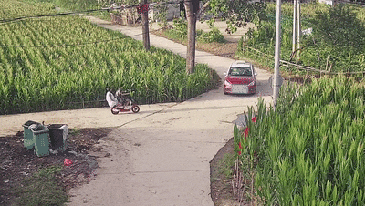 少年“骑士”村道疾驶，被撞得翻一跟头