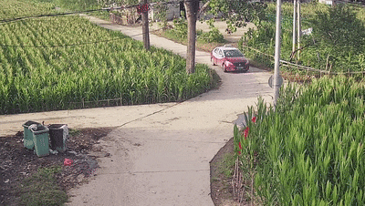 少年“骑士”村道疾驶，被撞得翻一跟头