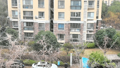 冬日氛围感拉满,上海迎2026年第一场雪!降温还在继续,冷冷冷冷还没完… 冬日氛围感拉满,上海迎2026年第一场雪!降温还在继续,冷冷冷冷还没完…