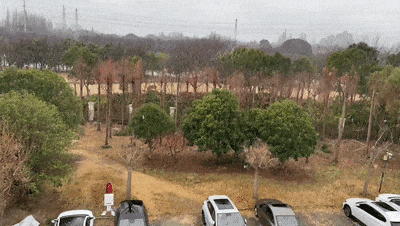 冬日氛围感拉满,上海迎2026年第一场雪!降温还在继续,冷冷冷冷还没完… 冬日氛围感拉满,上海迎2026年第一场雪!降温还在继续,冷冷冷冷还没完…