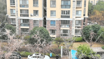 上海今天真的下雪了！多图袭来！气温即将跌至-5℃......