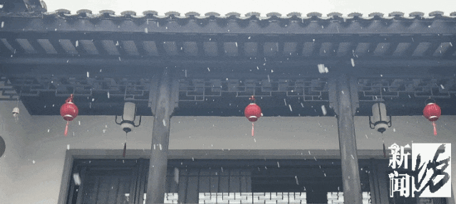 上海今天真的下雪了！多图袭来！气温即将跌至-5℃......
