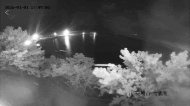 青岛多地下雪了，下得还不小！有图有真相→