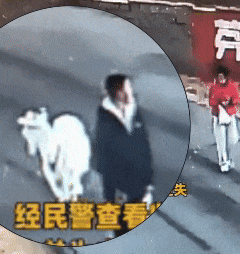 羊羊“离家出走”后……结局很暖！