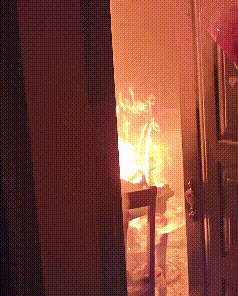 一杯定时豆浆,差点把家“煮”没了…… 一杯定时豆浆,差点把家“煮”没了……