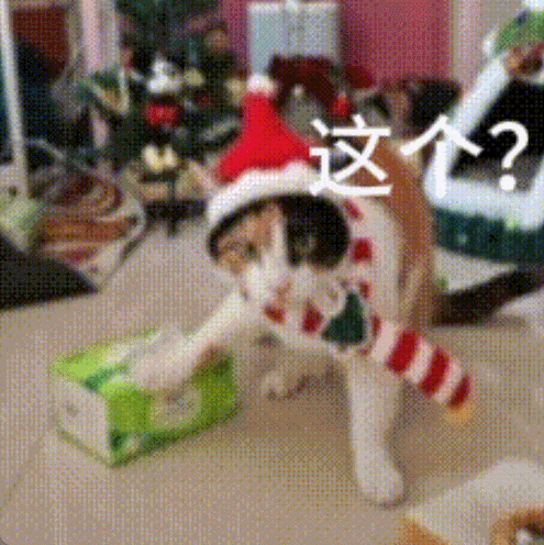 “萝卜纸巾猫”爆火：“察言观色”的我们，渴望“真棒”的肯定