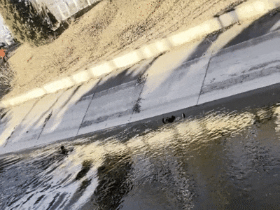 怀柔一女子不慎落水，危急时刻，民警奋不顾身跳入寒冬河水中……