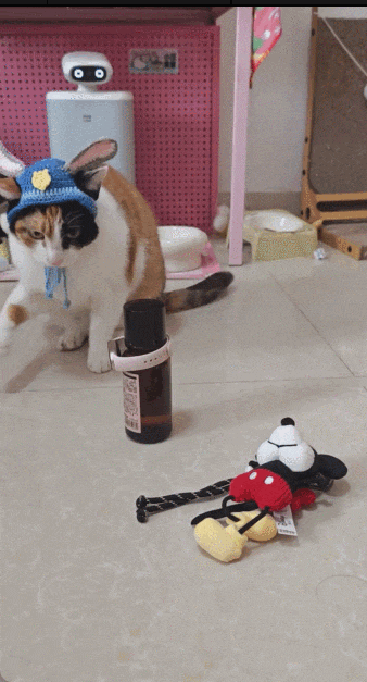 “萝卜纸巾猫”爆火：“察言观色”的我们，渴望“真棒”的肯定