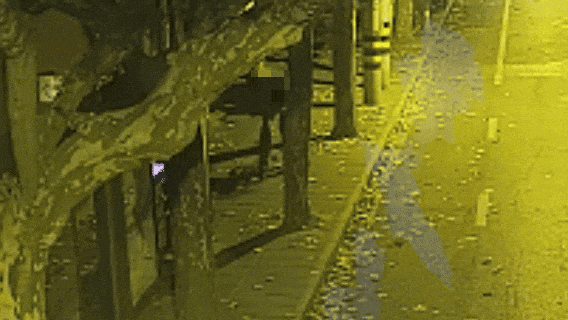 没上锁的自行车被骑走，盗贼竟自己送上门！