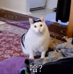 初二儿子躲厕所吃泡面！杭州妈妈们傻眼：“厕所社交”为啥火了？