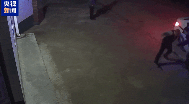 生命最后的敬礼 生命最后的敬礼