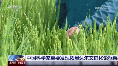 长颈鹿的脖子为什么这么长?我国科学家发现关键反转证据! 长颈鹿的脖子为什么这么长?我国科学家发现关键反转证据!