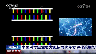 长颈鹿的脖子为什么这么长?我国科学家发现关键反转证据! 长颈鹿的脖子为什么这么长?我国科学家发现关键反转证据!