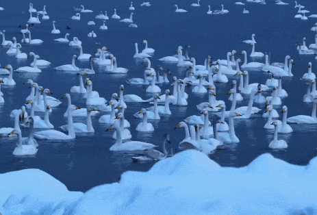 烟台、威海出圈了!网友:“这就是‘雪窝子’的含金量” 烟台、威海出圈了!网友:“这就是‘雪窝子’的含金量”