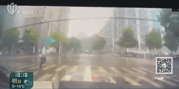 上海全城整改这个“夺命白线”!不断有人中招、受伤 上海全城整改这个“夺命白线”!不断有人中招、受伤