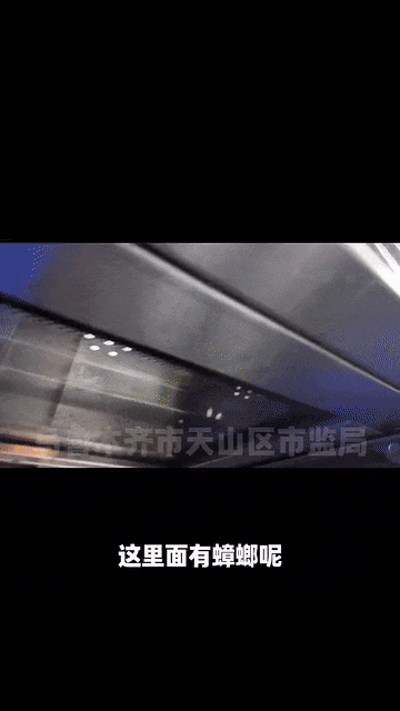 消毒柜现蟑螂？乌鲁木齐这家自助小火锅被突击检查！