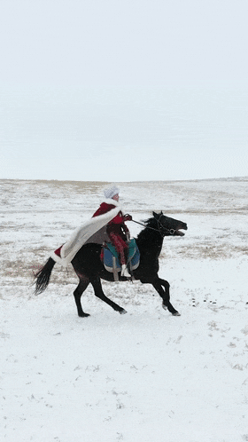 47岁贺娇龙不幸离世！曾反感被叫“美女”，生前最后一条朋友圈曝光