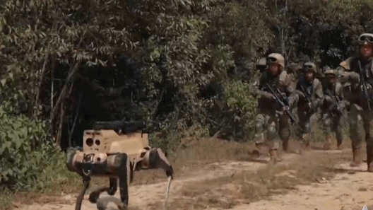 可适应5级海况！登陆作战再迎“无人尖兵”