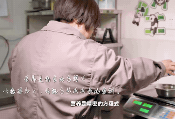 独家！五只大熊猫如何跨越千里、“从从蓉榕”