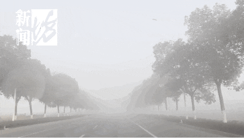 东方明珠今早“消失”了？上海像“迷雾森林”！多区正处于重度污染！尽量别出门！