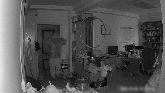 浙江女子手机突然弹出预警，陌生男子正在家里翻东西！接下来一幕让人傻眼