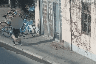 “小朋友，以后可不能再一个人出门了哦！”