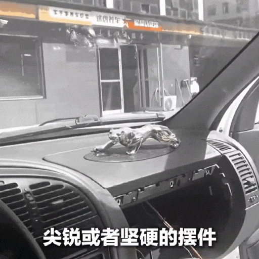 车内“萌物”变“凶器”？这个小习惯，正在给你的行车安全埋雷！